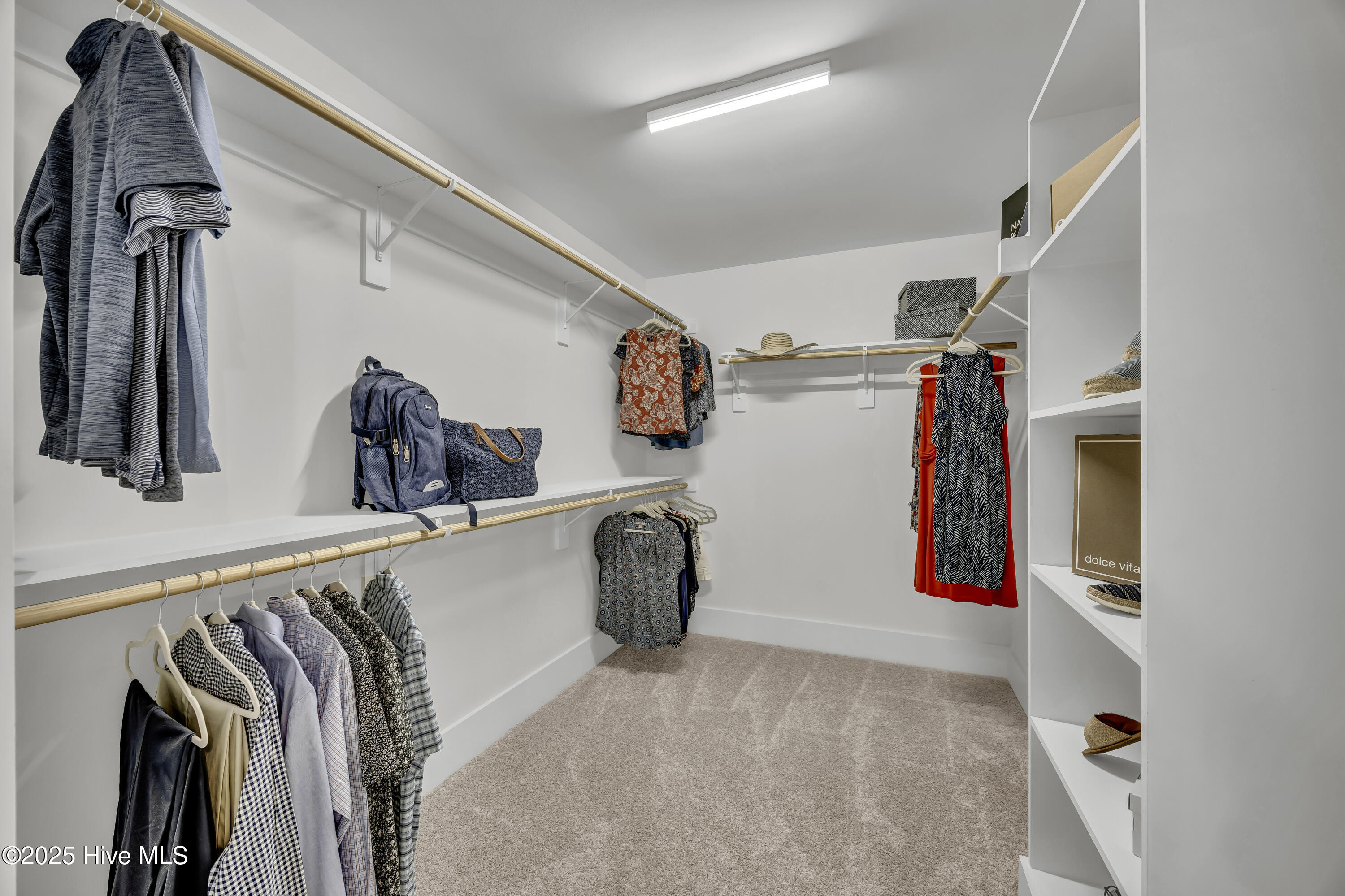 100553120 | Photo 24