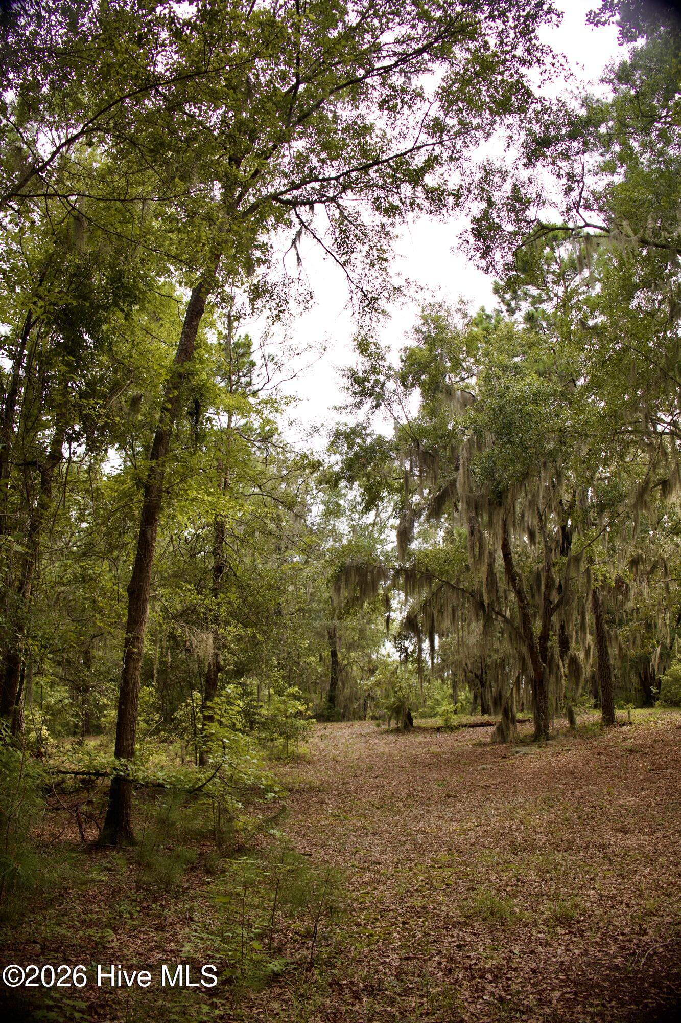 385 Sand Ridge Road,New Bern