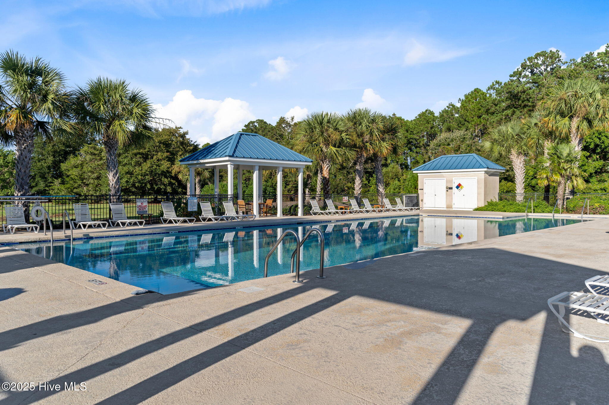 100535787 | Photo 61