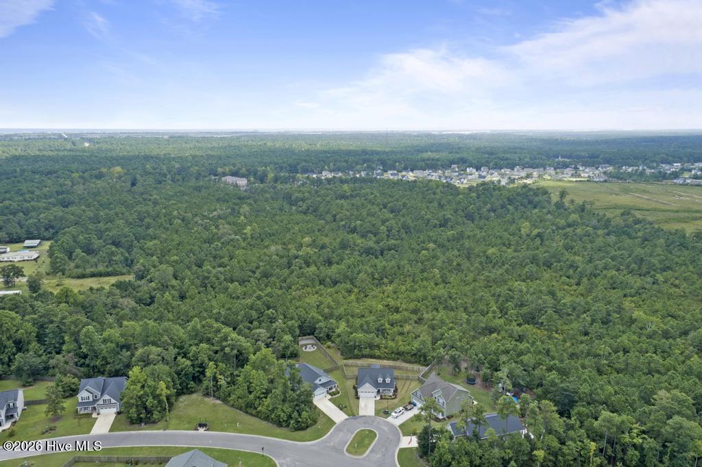 100553850 | Photo 29