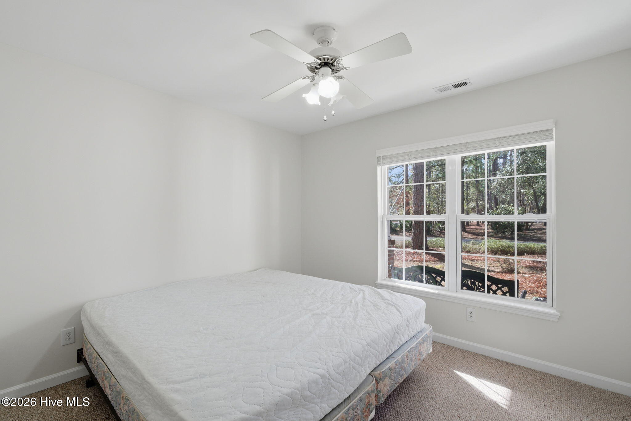 100551070 | Photo 32