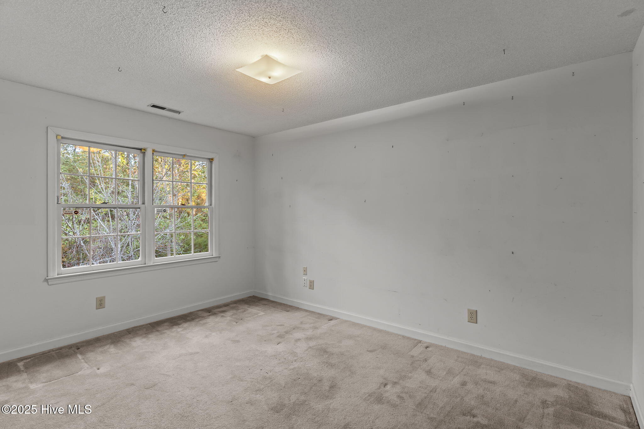 100540294 | Photo 29