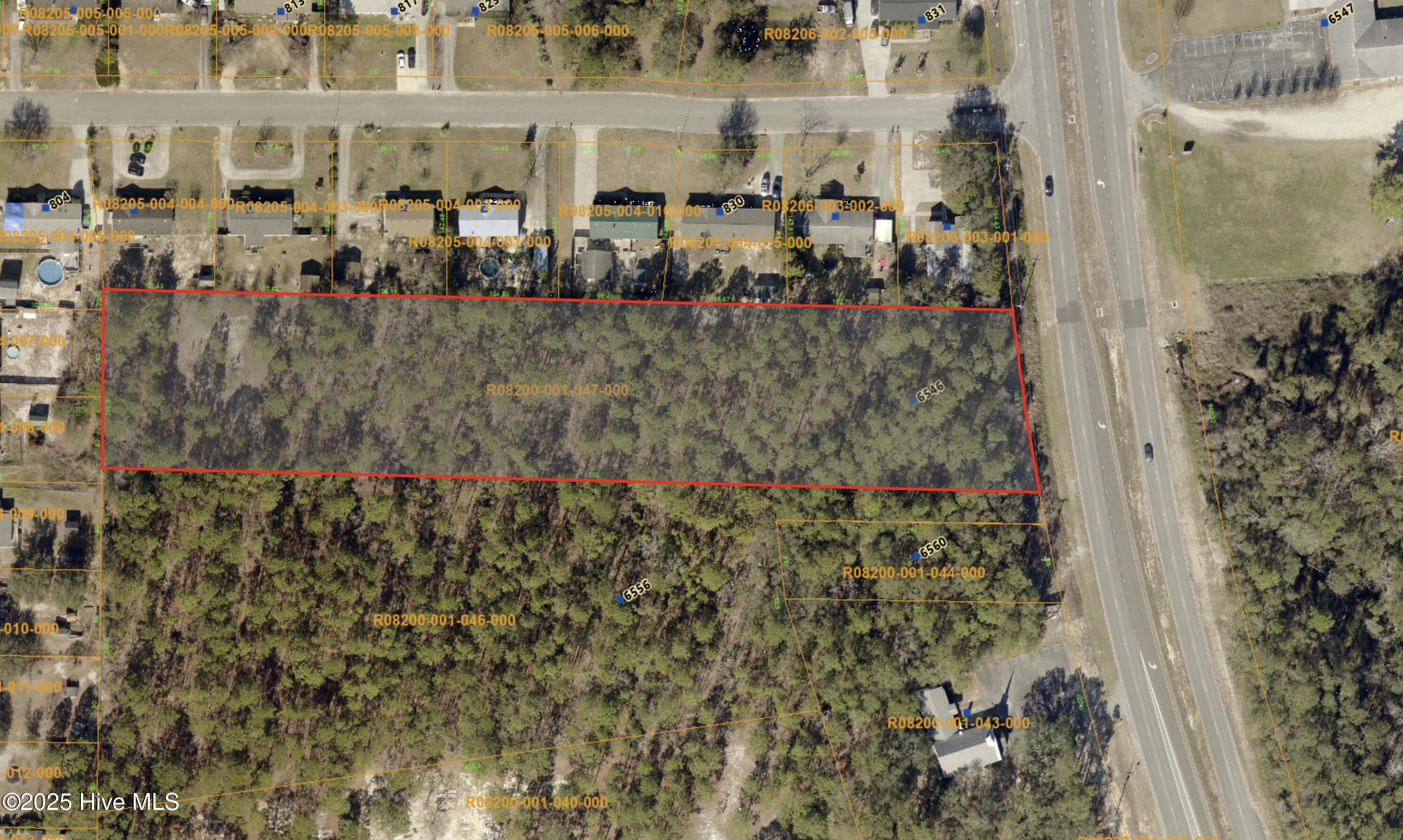 100507635 | Photo 21