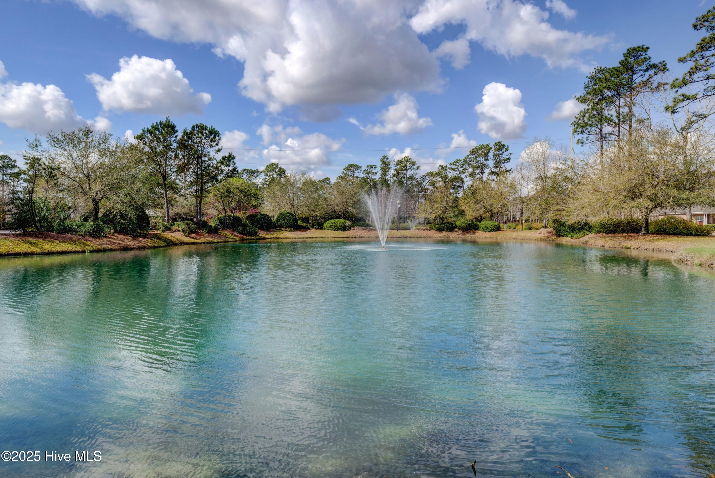 100533946 | Photo 67