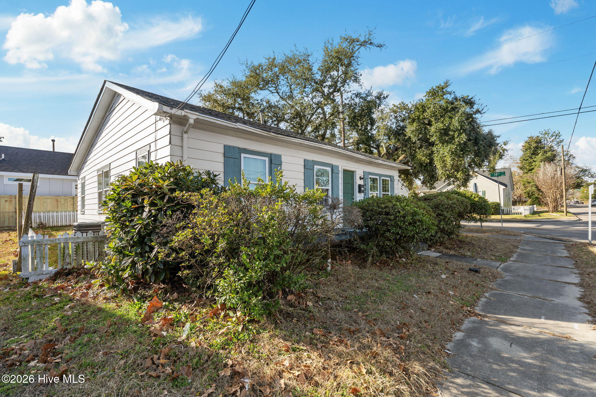 100550233 | Photo 44