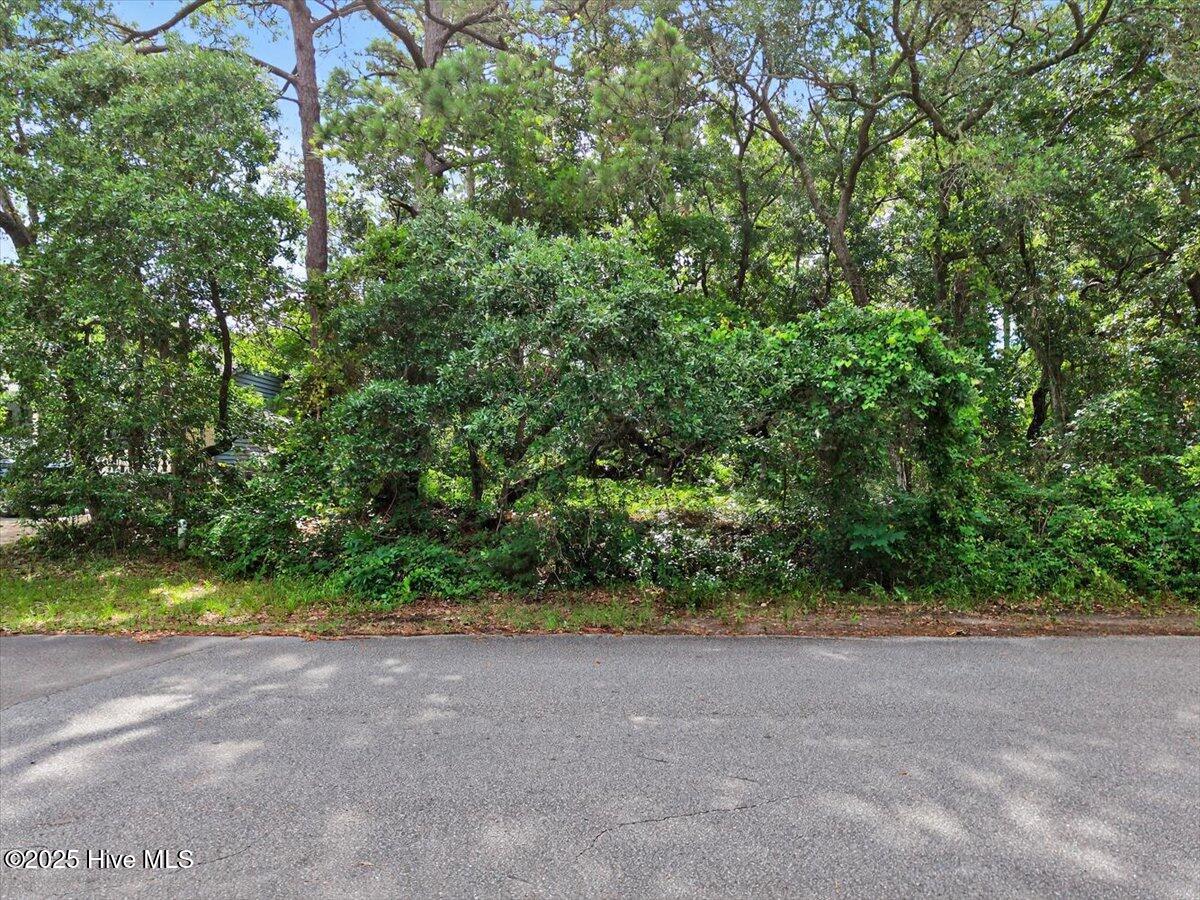 100510821 | Photo 30