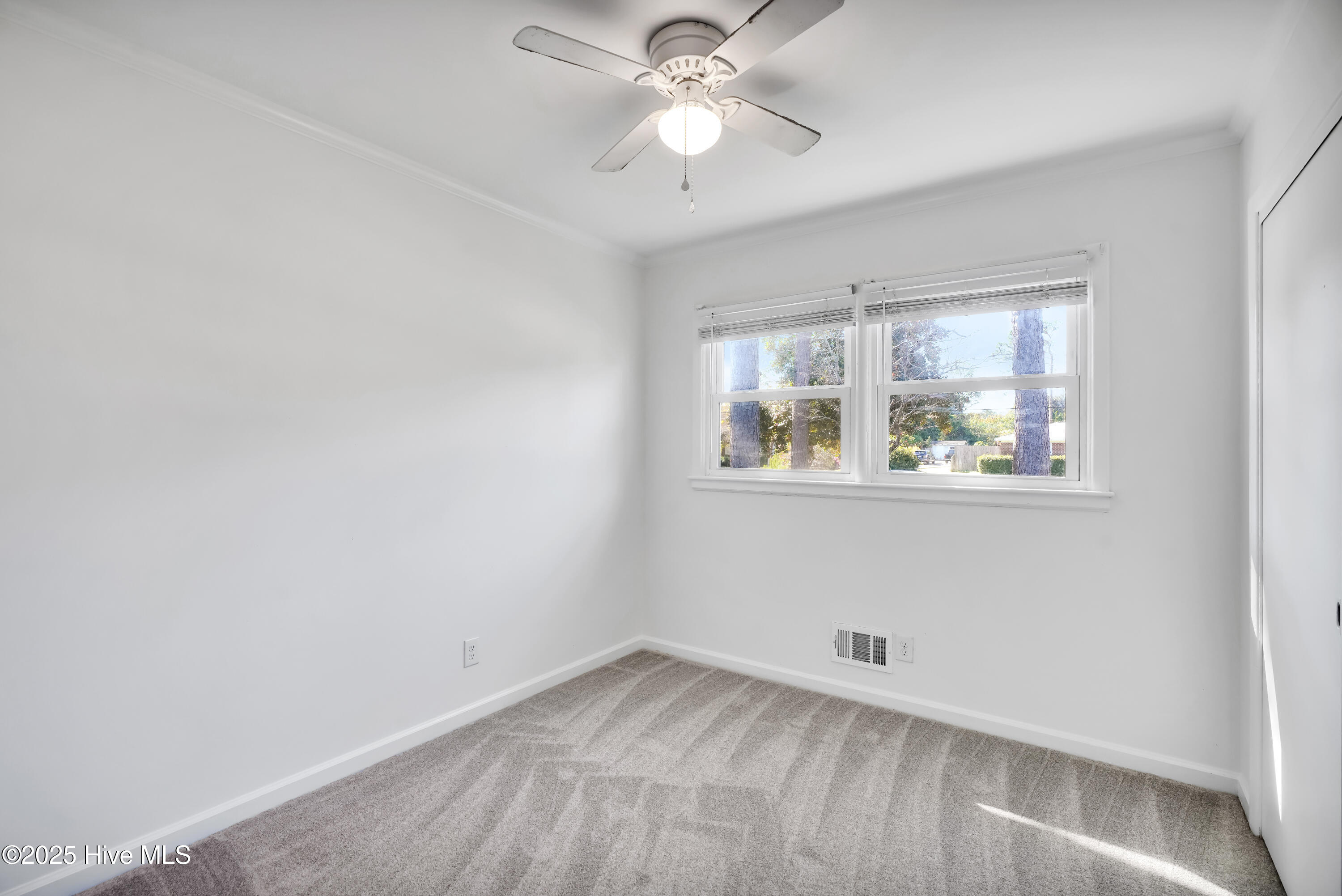 100539794 | Photo 15