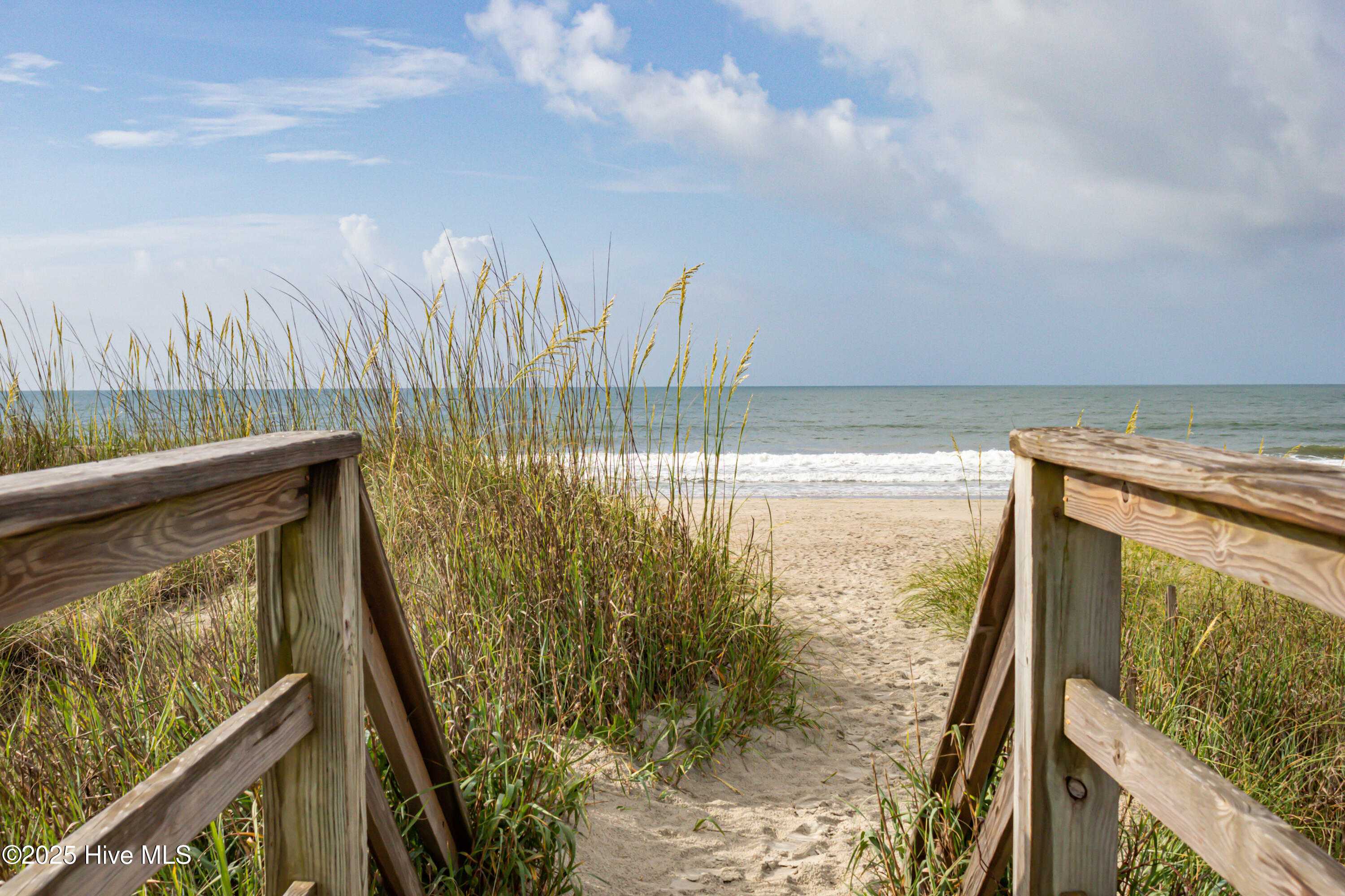 100538941 | Photo 38