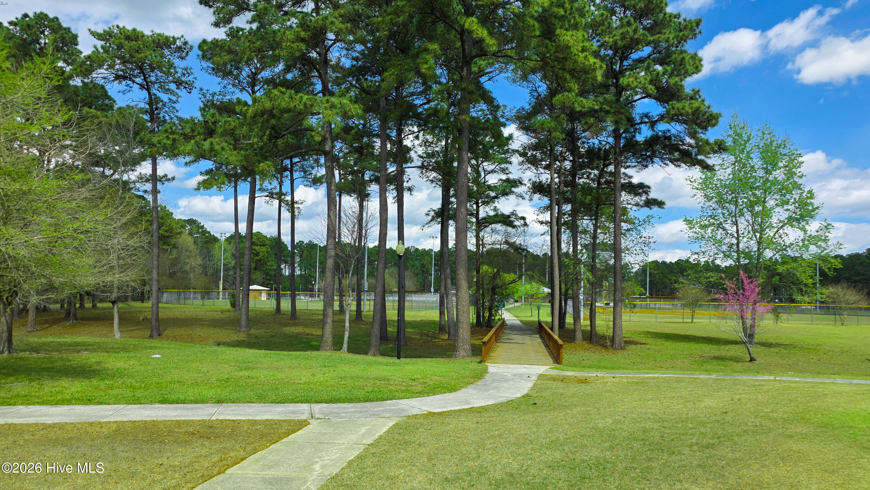 100562387 | Photo 62