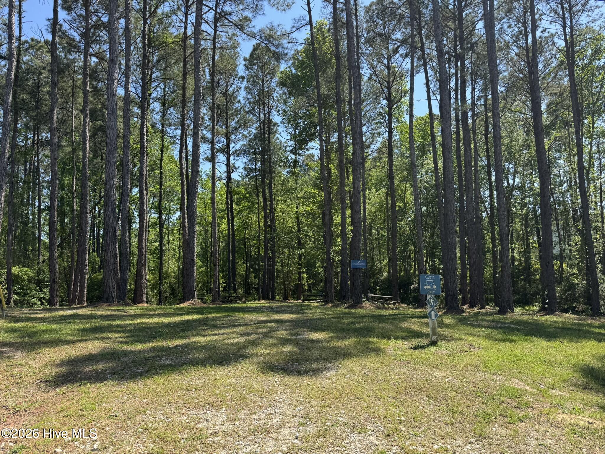 100568180 | Photo 10