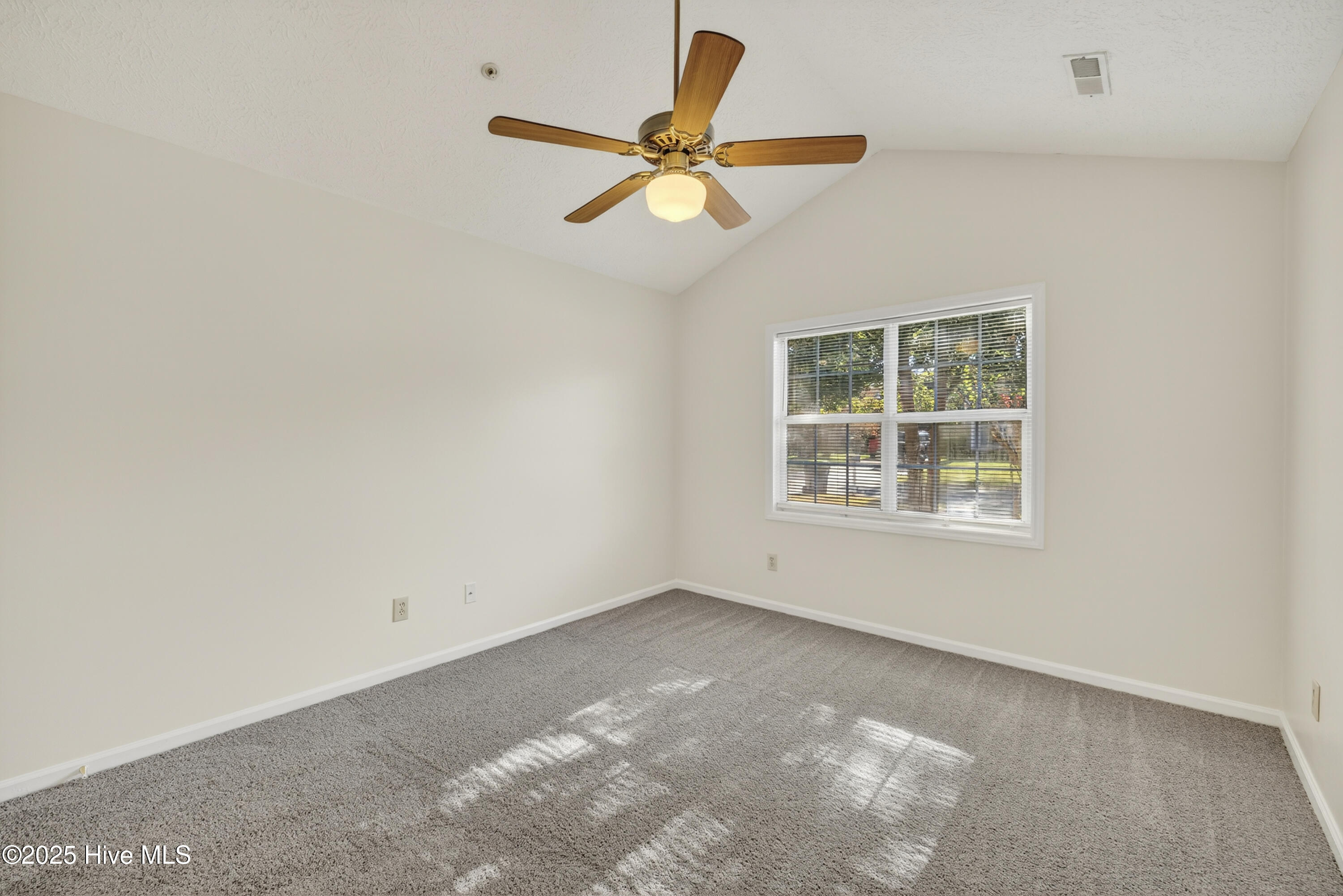 100541099 | Photo 22