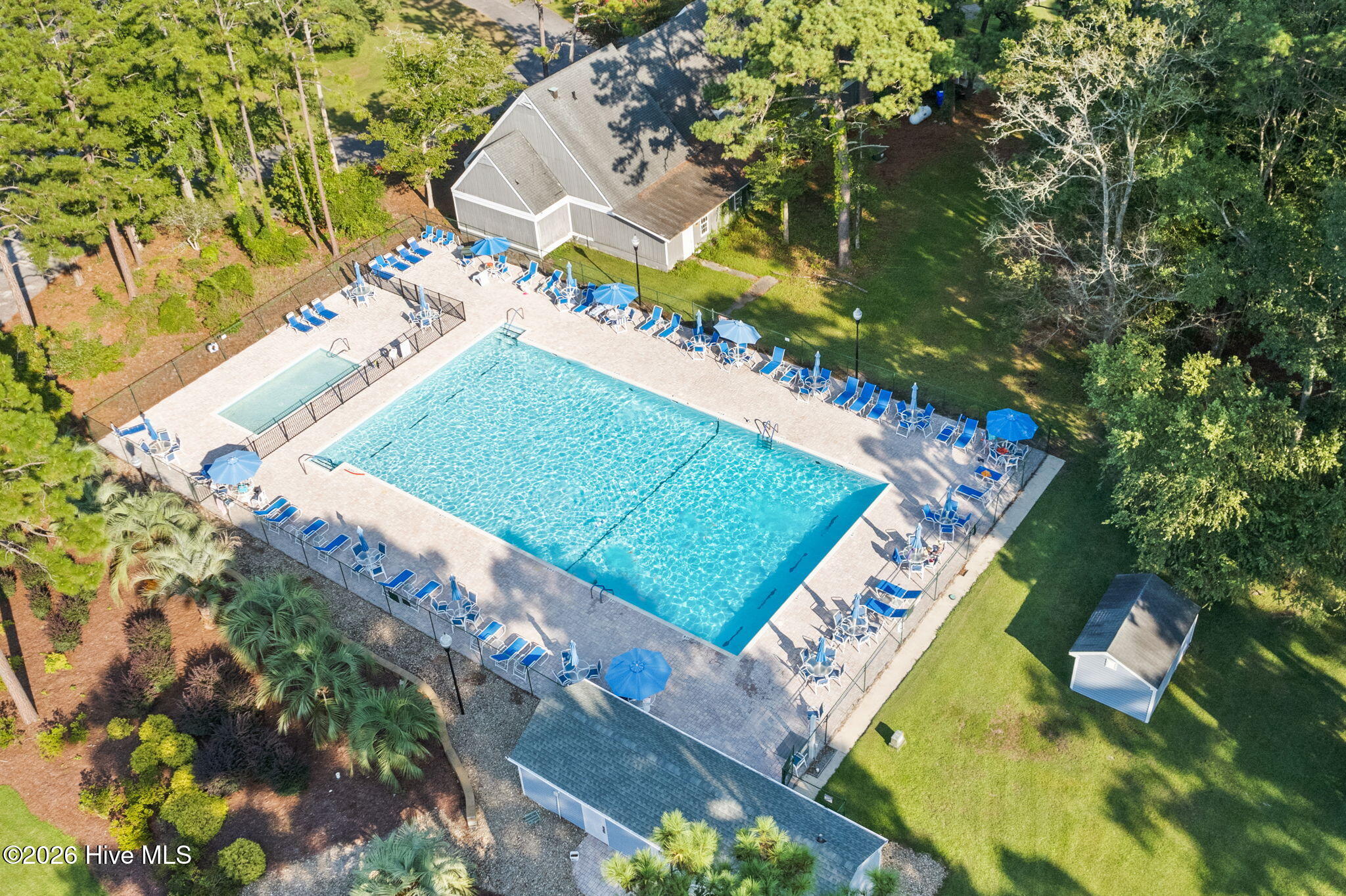 100559407 | Photo 41