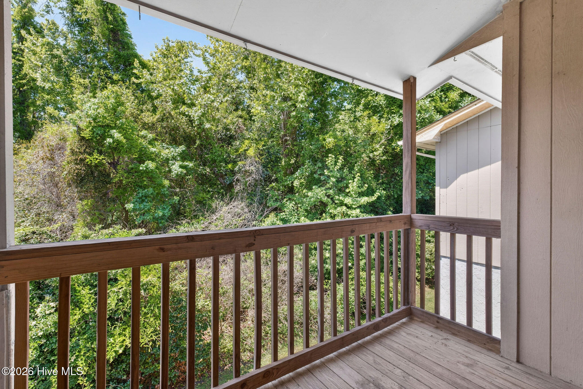 100569384 | Photo 23