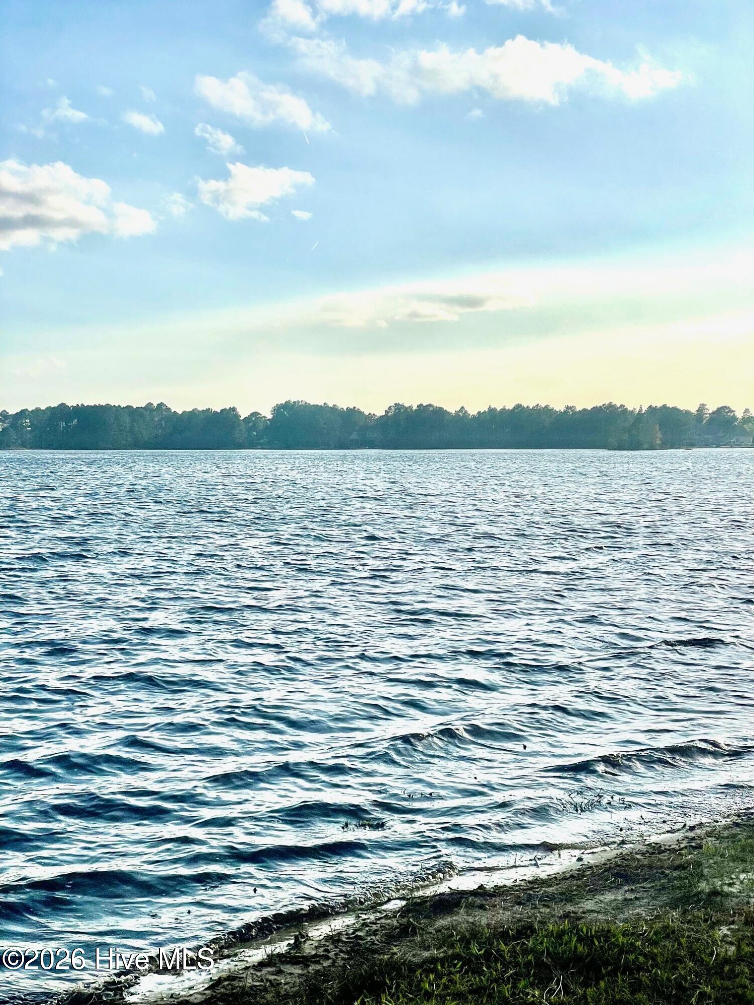 Homes for sale in Harrells, NC | 554 N Horsepen Rd, Harrells, NC 28444 | MLS# 100560752