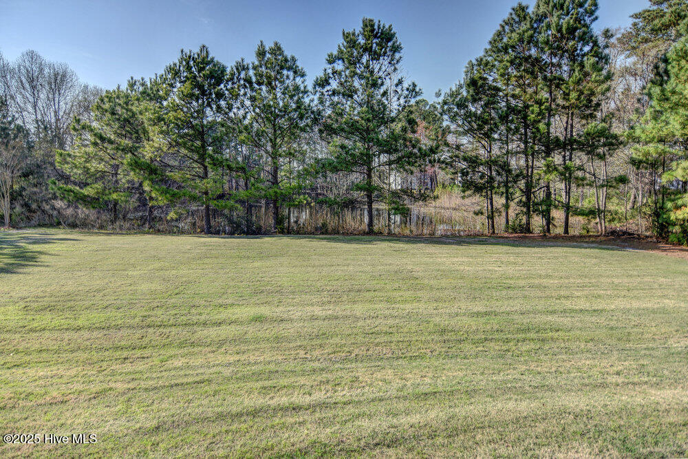 100526885 | Photo 33