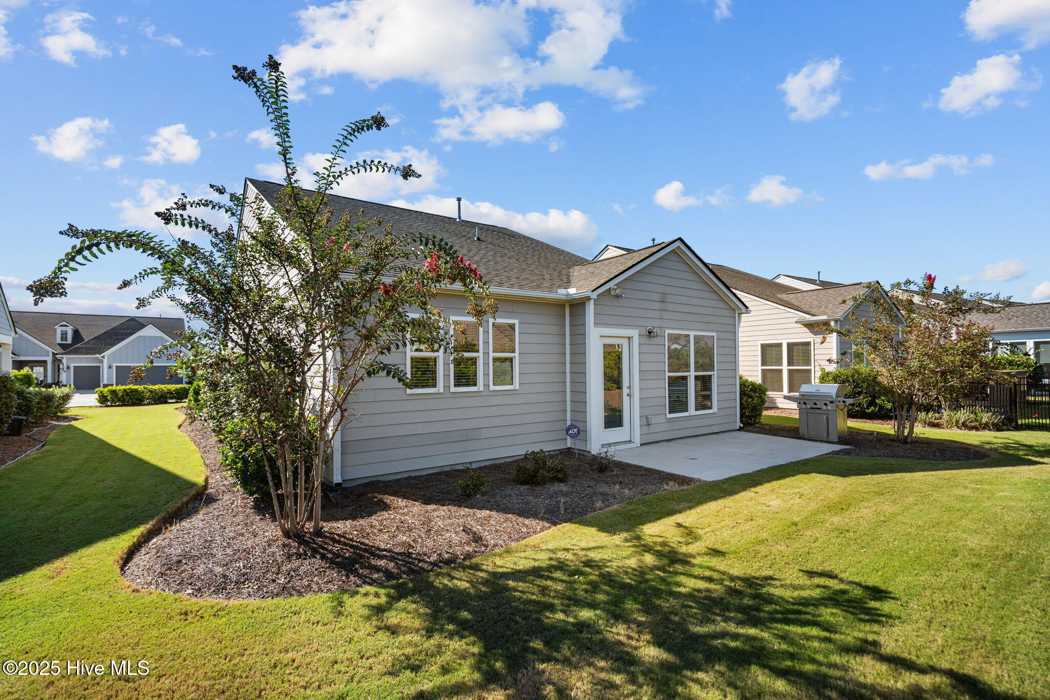 100540336 | Photo 16