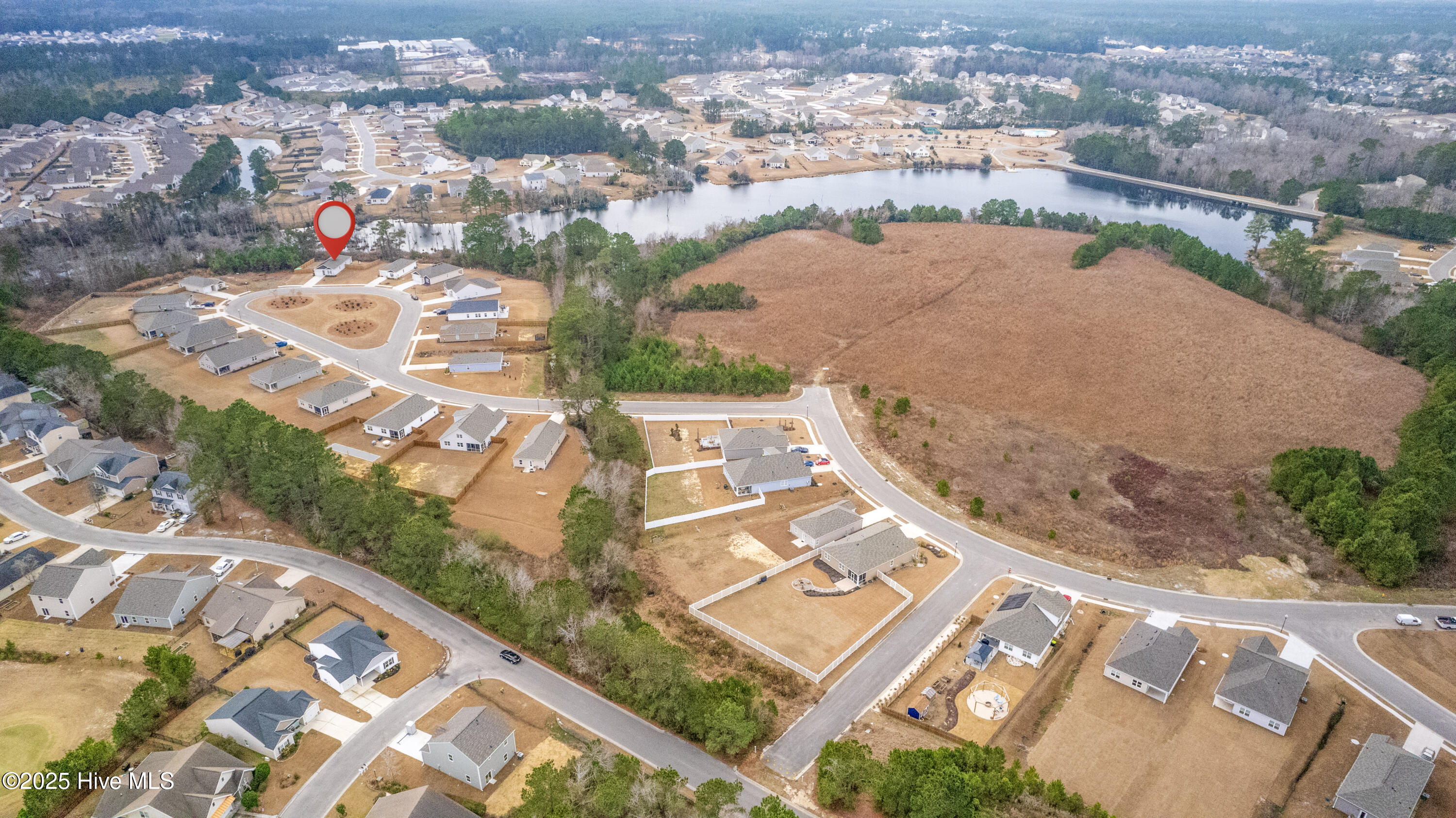 100566662 | Photo 22