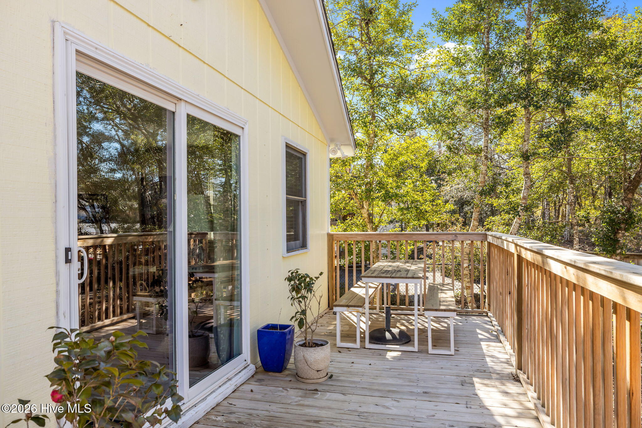 100556660 | Photo 39