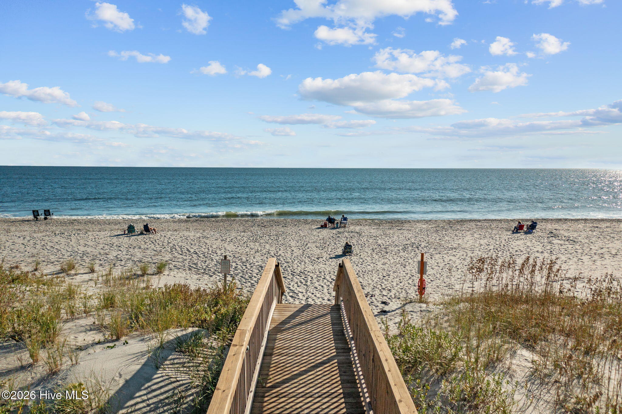 100550399 | Photo 49