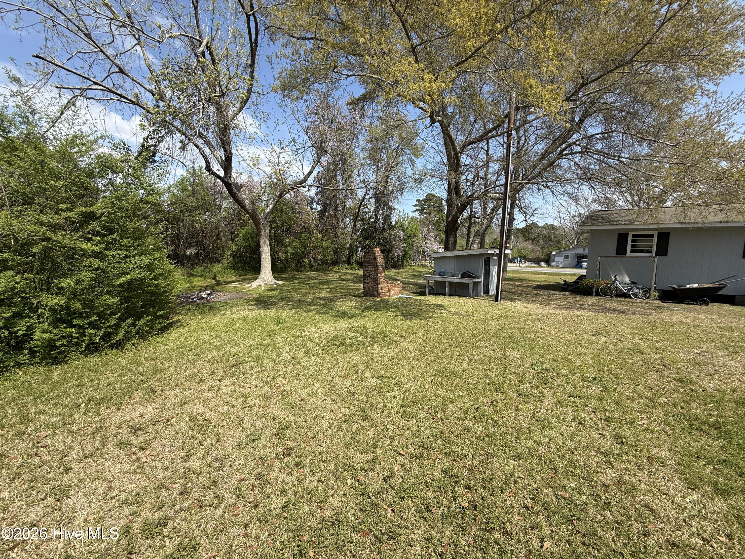 100564685 | Photo 15