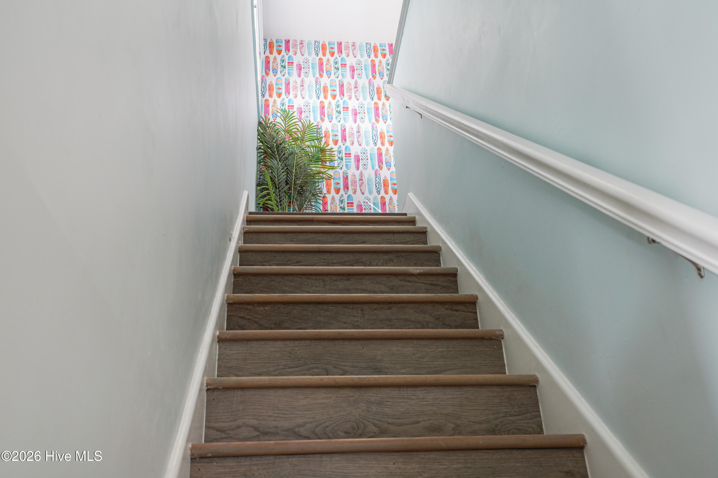 100559140 | Photo 23