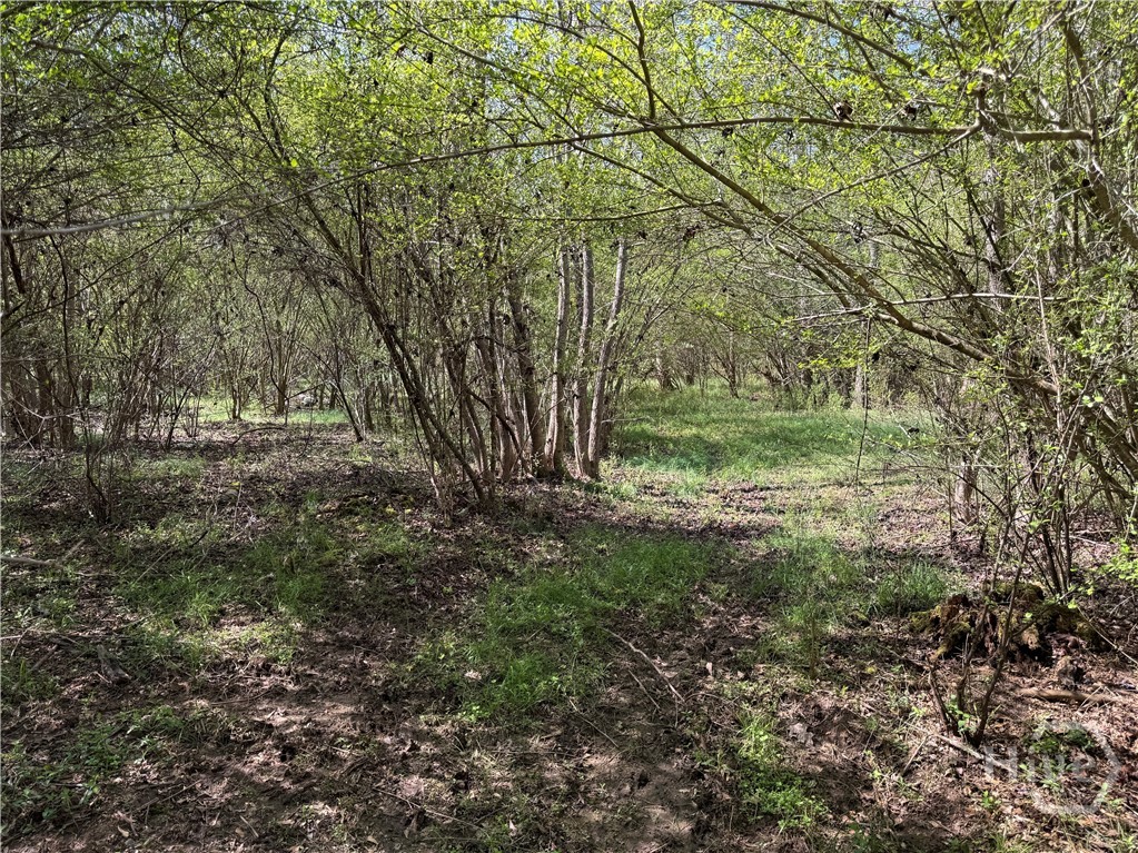 738 Old Mineral Springs Road, Elberton, GA, 30635