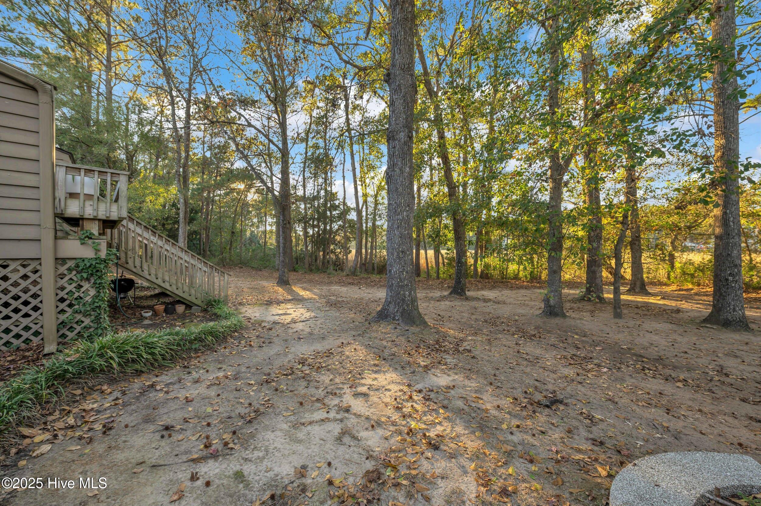 100546110 | Photo 24