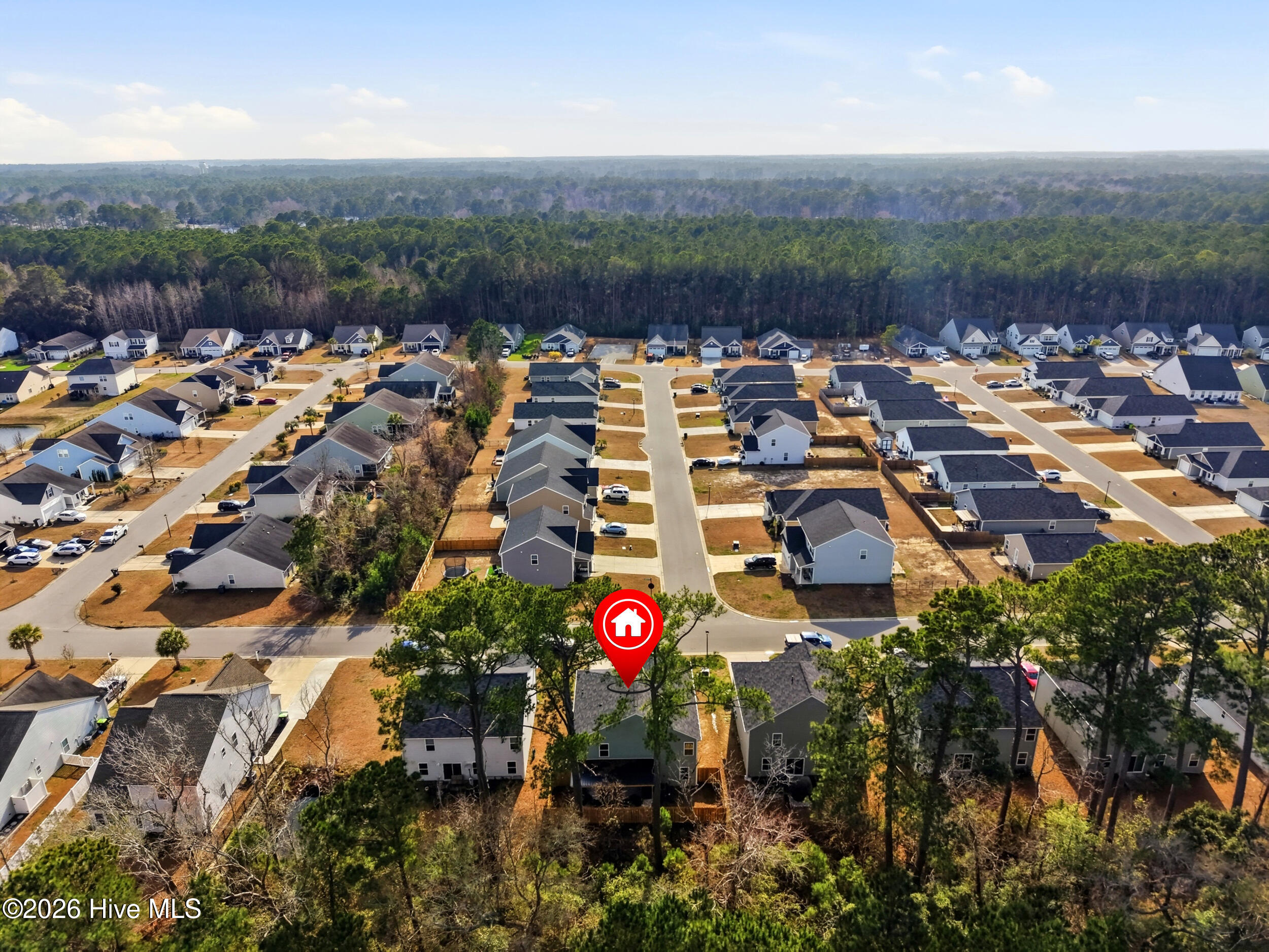 100556513 | Photo 49