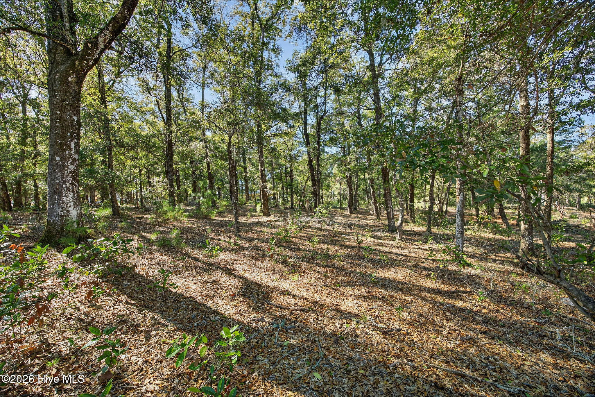 100550009 | Photo 14