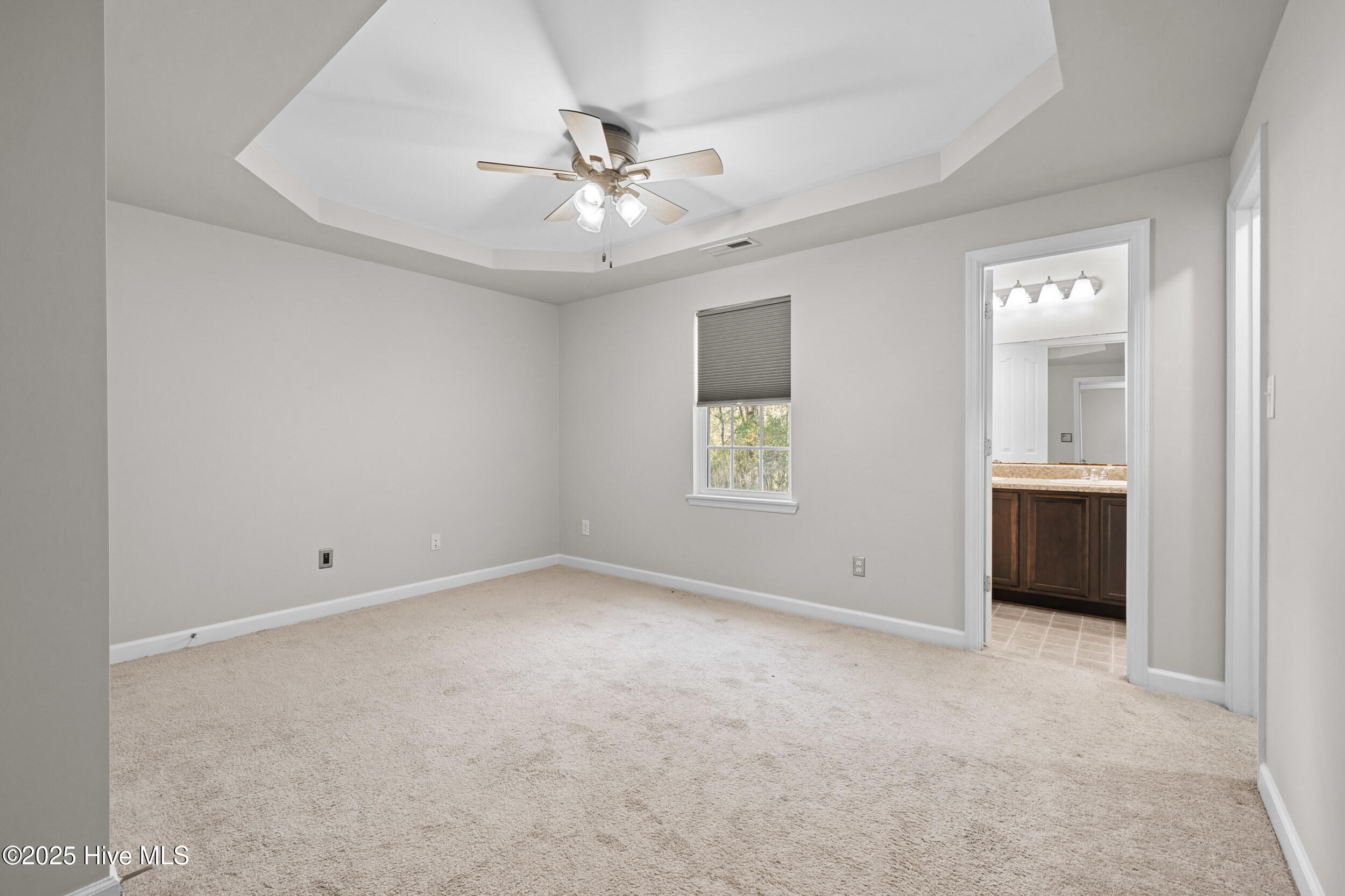 100568502 | Photo 23