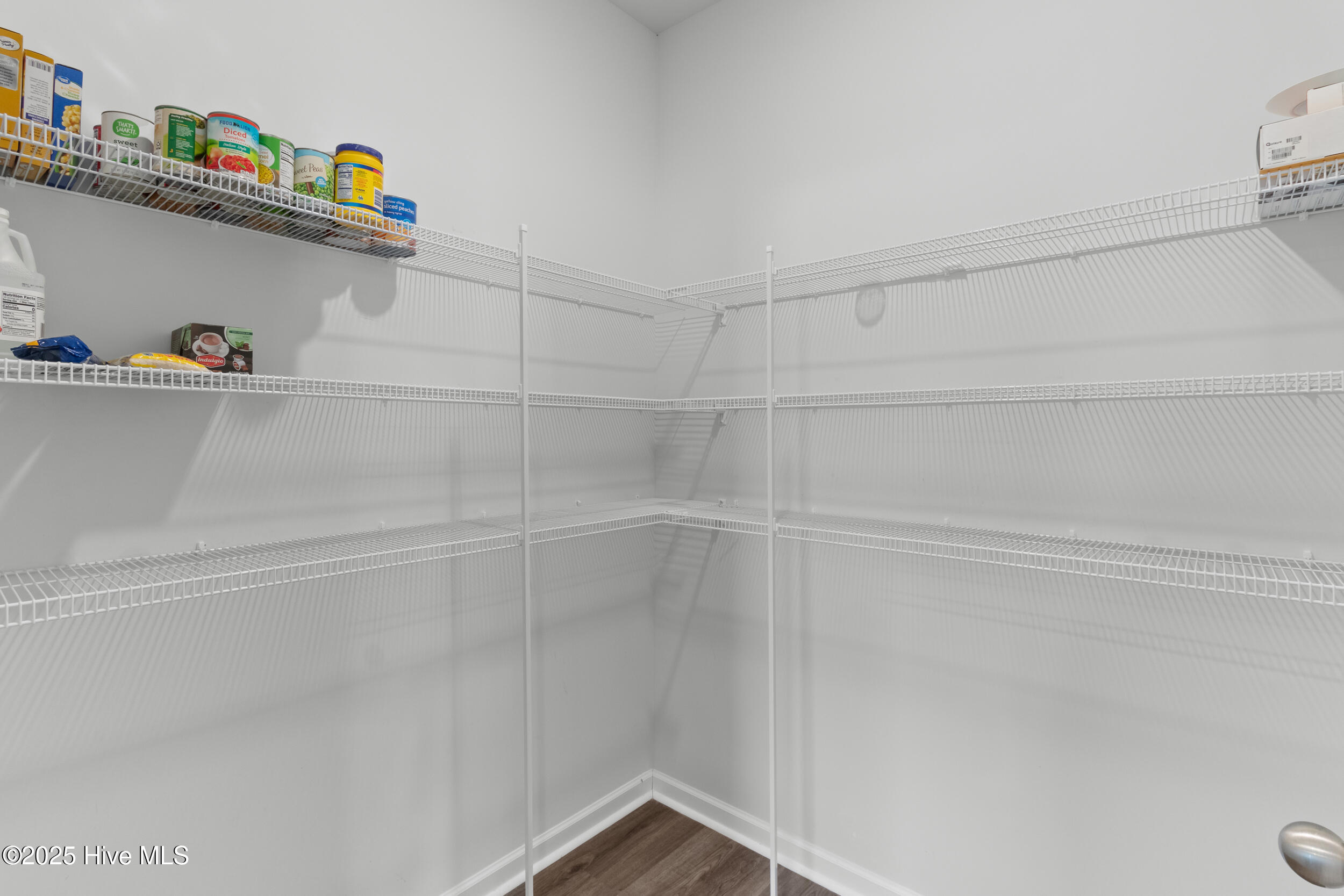 240 Windy Woods Way, Wilmington, NC 28401 – photo 14: 17_pantry