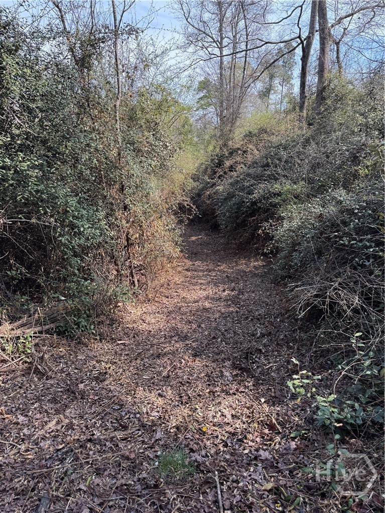 738 Old Mineral Springs Road, Elberton, GA, 30635