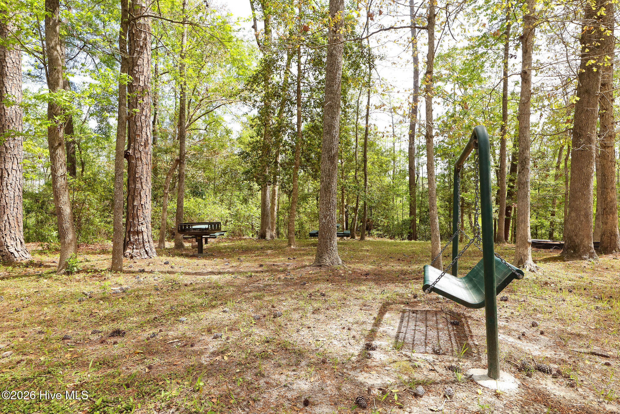 100565311 | Photo 56