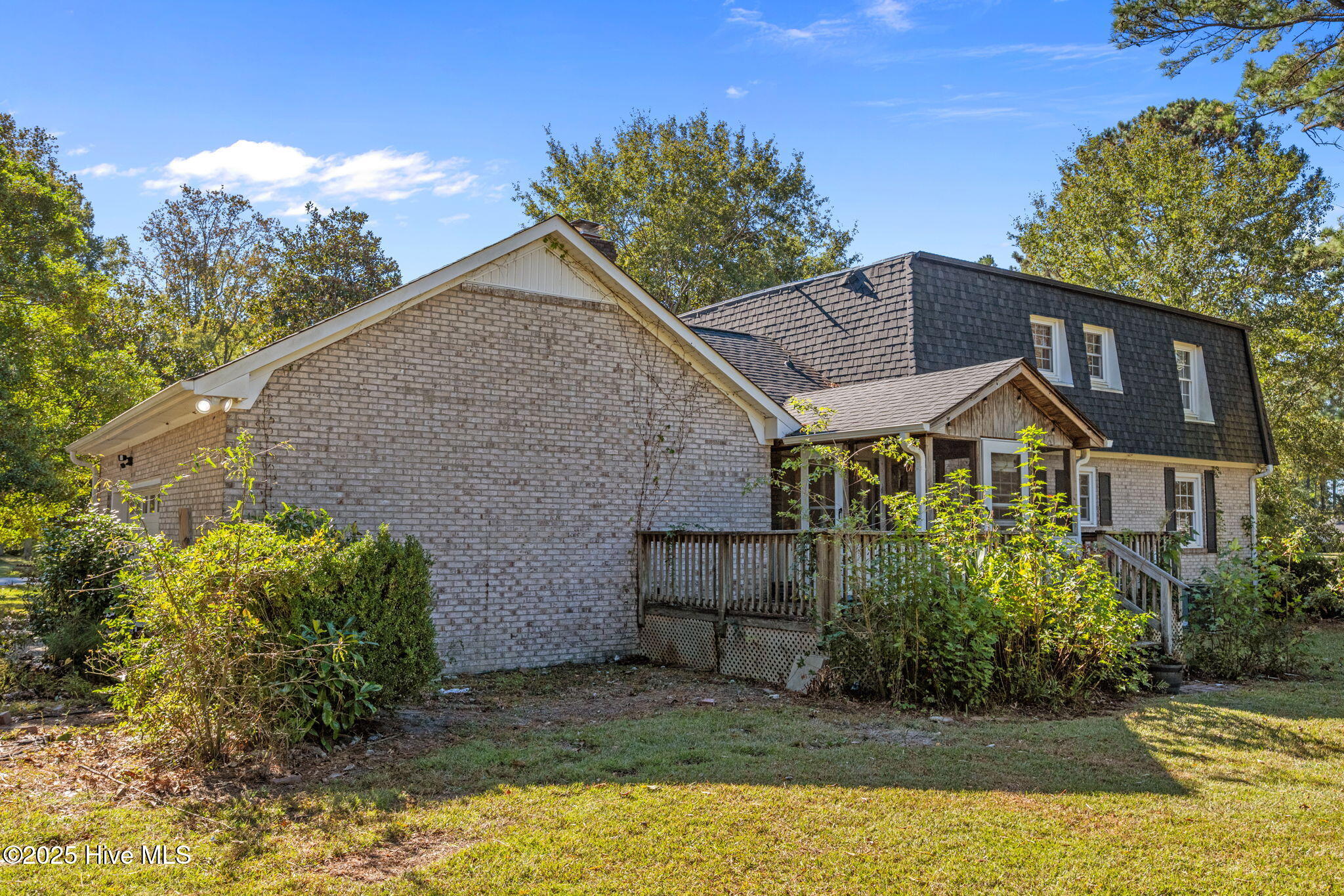 100537375 | Photo 44