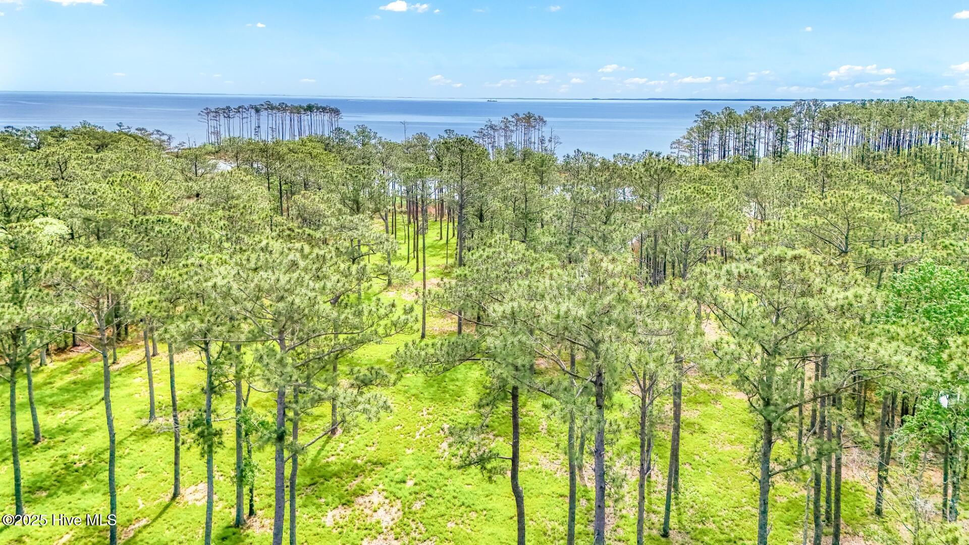 175 River Watch Road, Oriental, NC, 28571