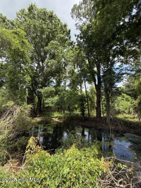 Homes for sale in Burgaw, NC | 1805 Front St, Burgaw, NC 28425 | MLS# 100507415