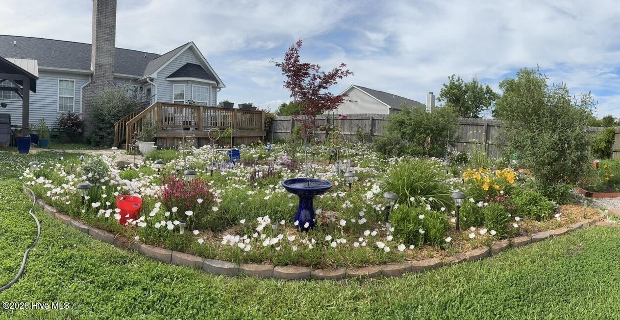 100551352 | Photo 46