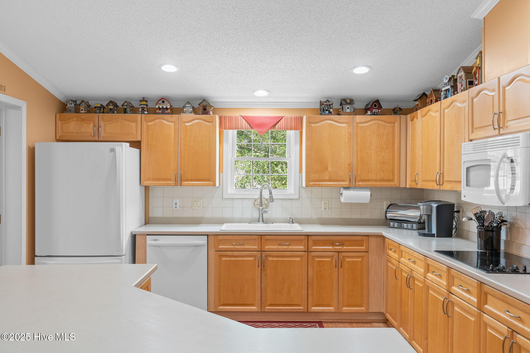 100527656 | Photo 11