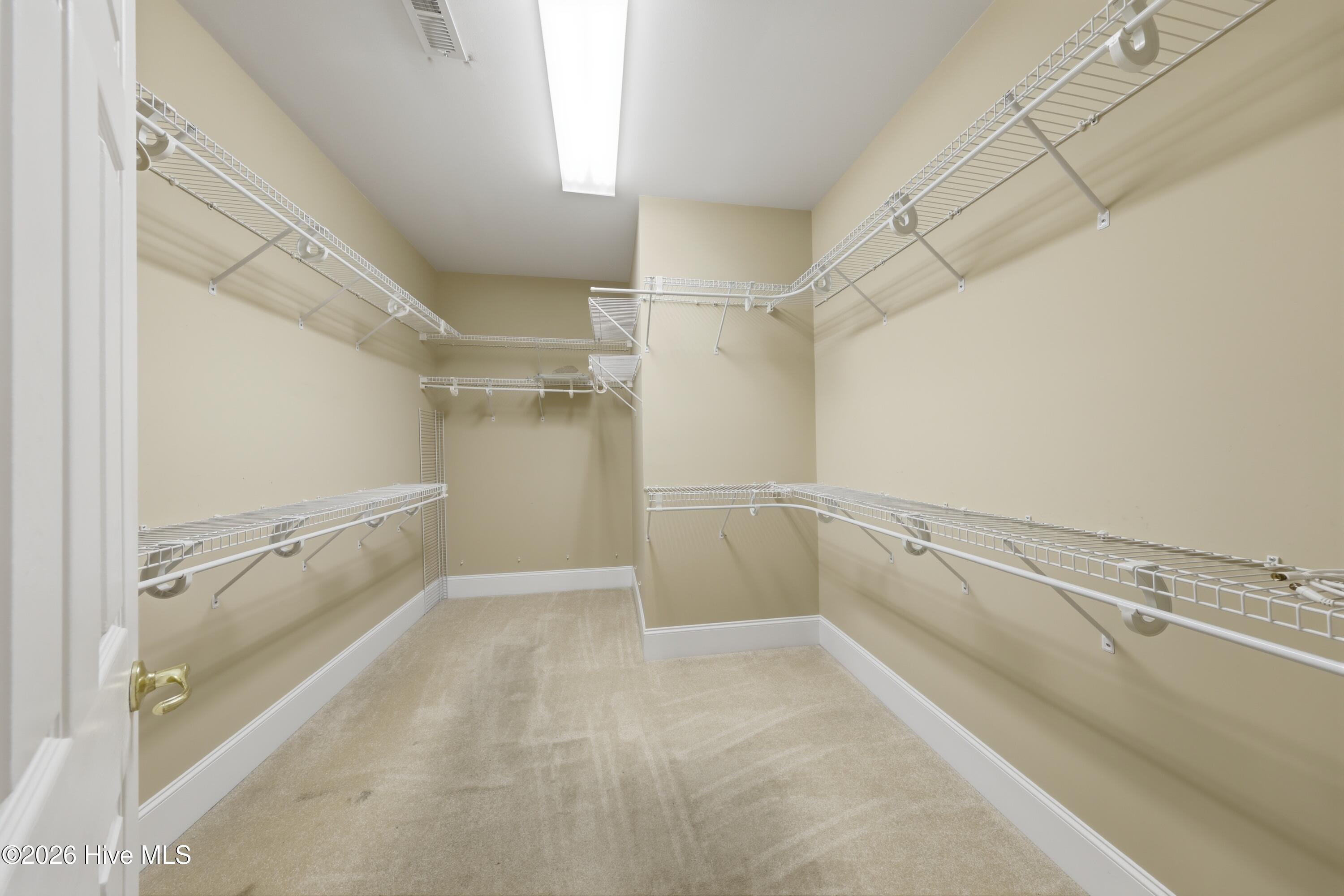 100564679 | Photo 38