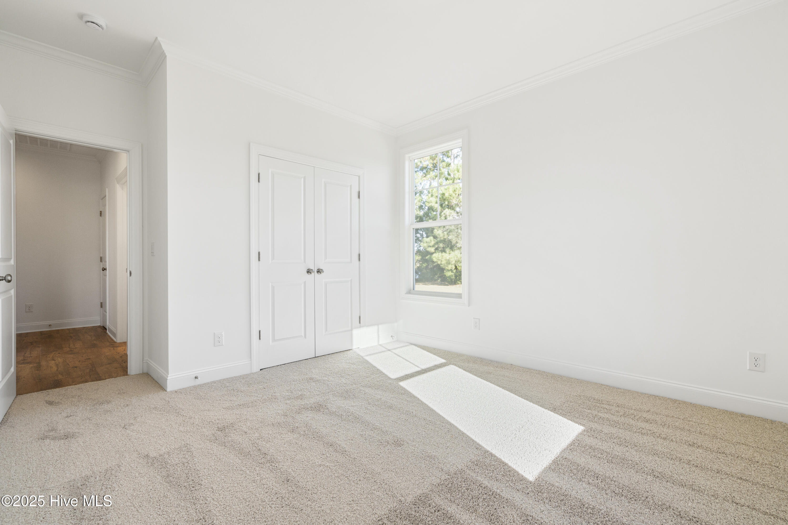 100493135 | Photo 41