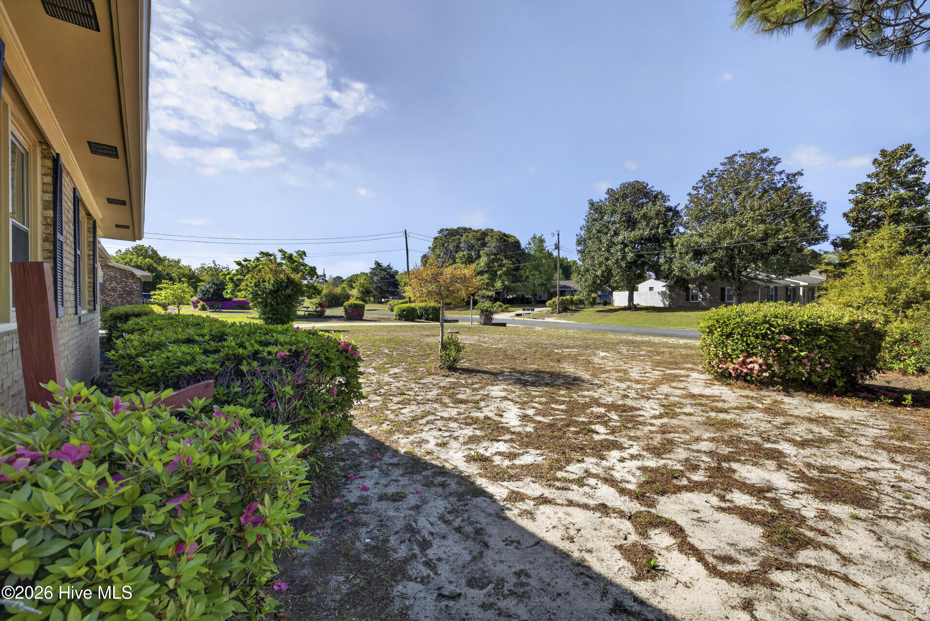 100566296 | Photo 32