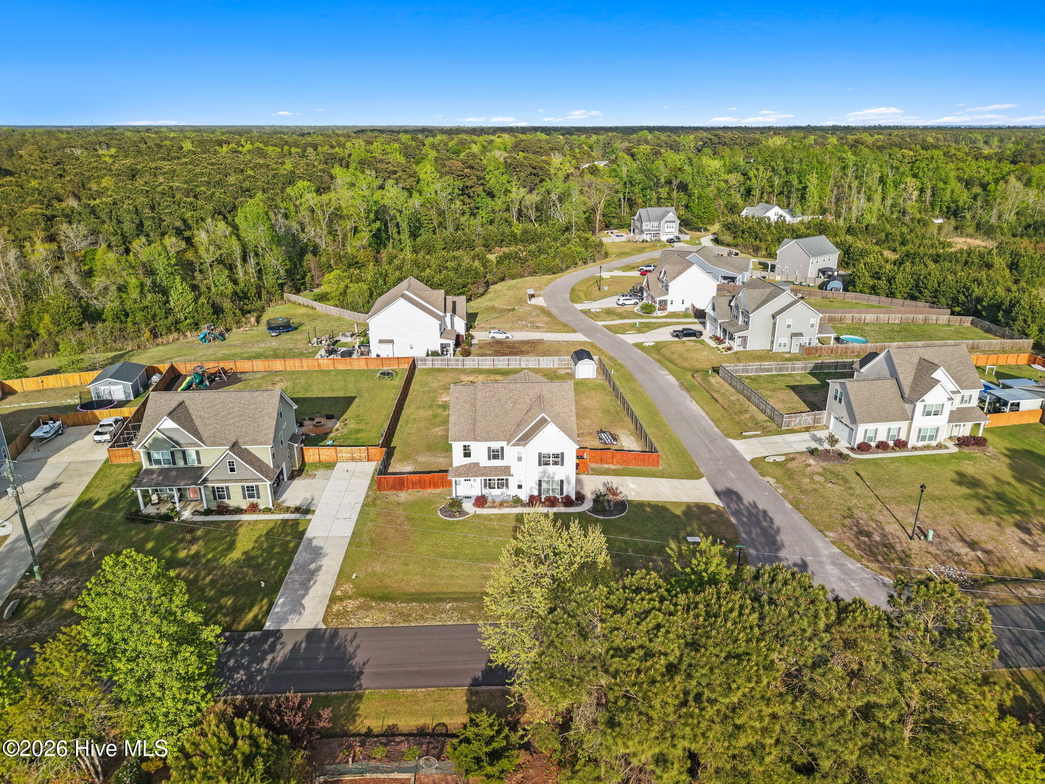 100564954 | Photo 53