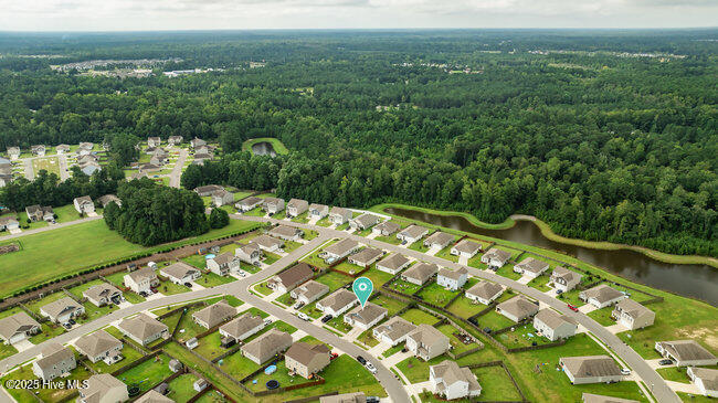 100528585 | Photo 38