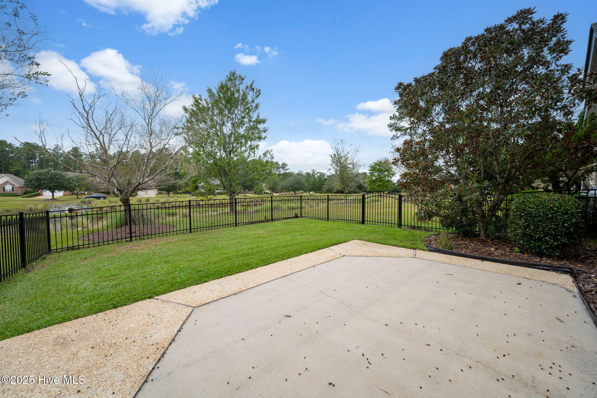 100536688 | Photo 50