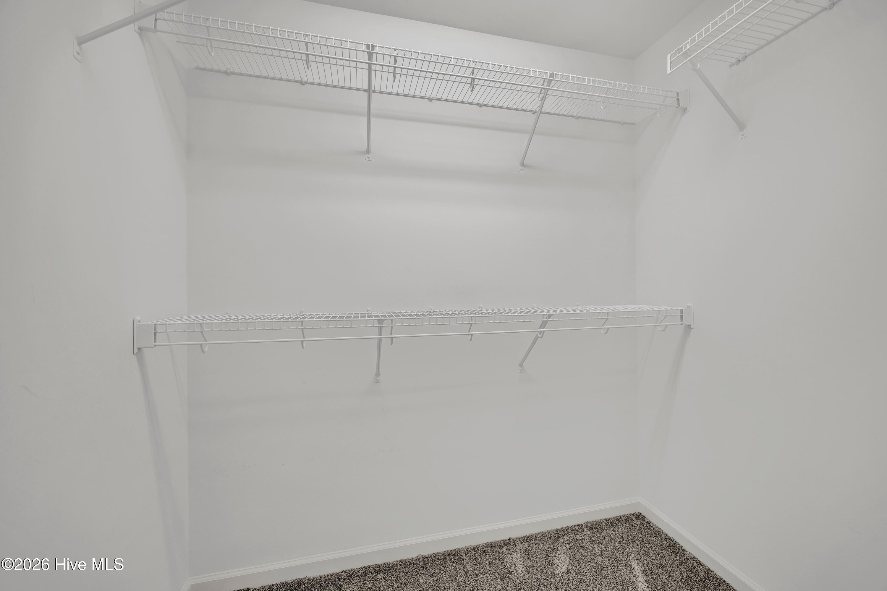 100552166 | Photo 10