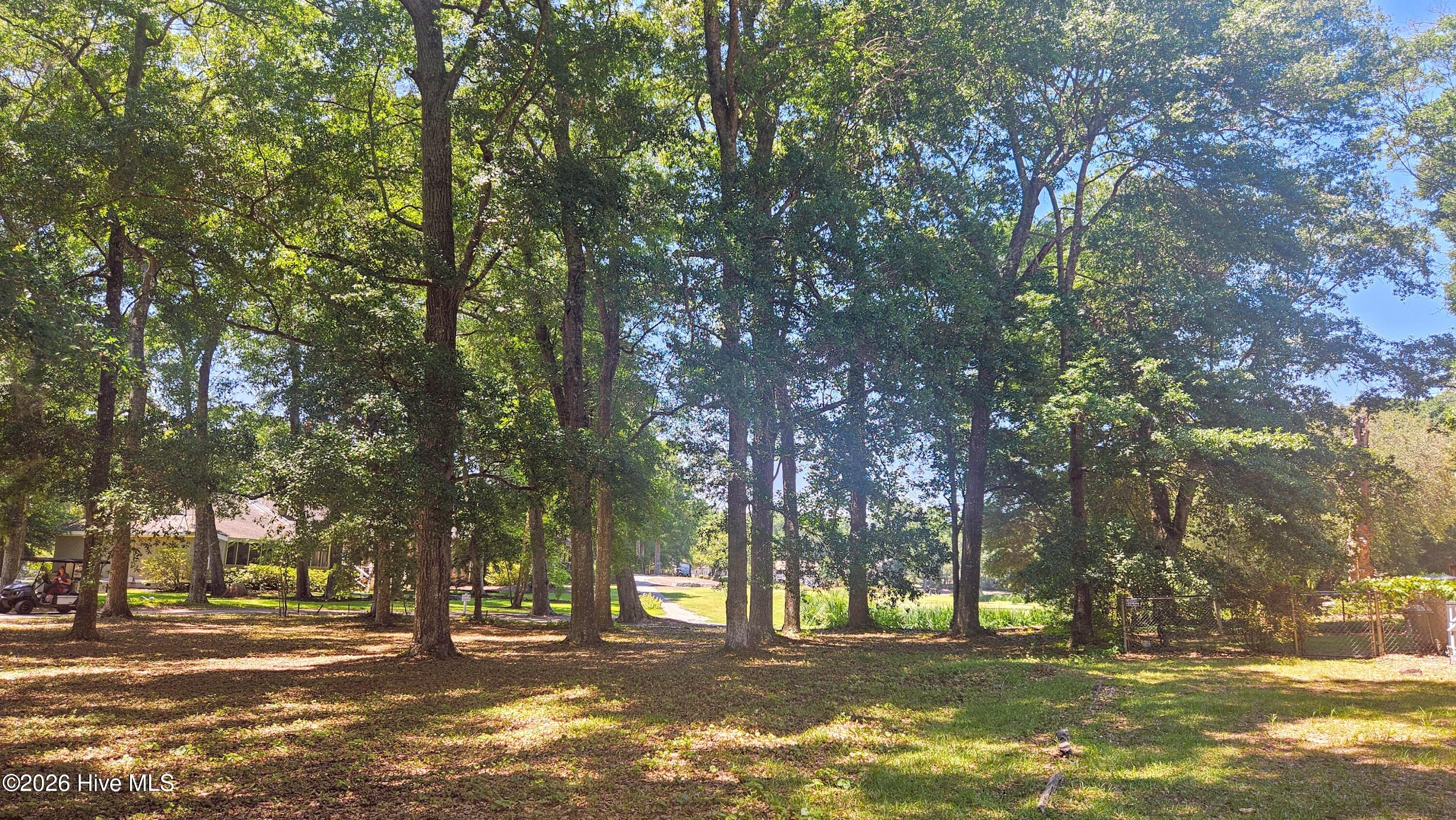 100579636 | Photo 29