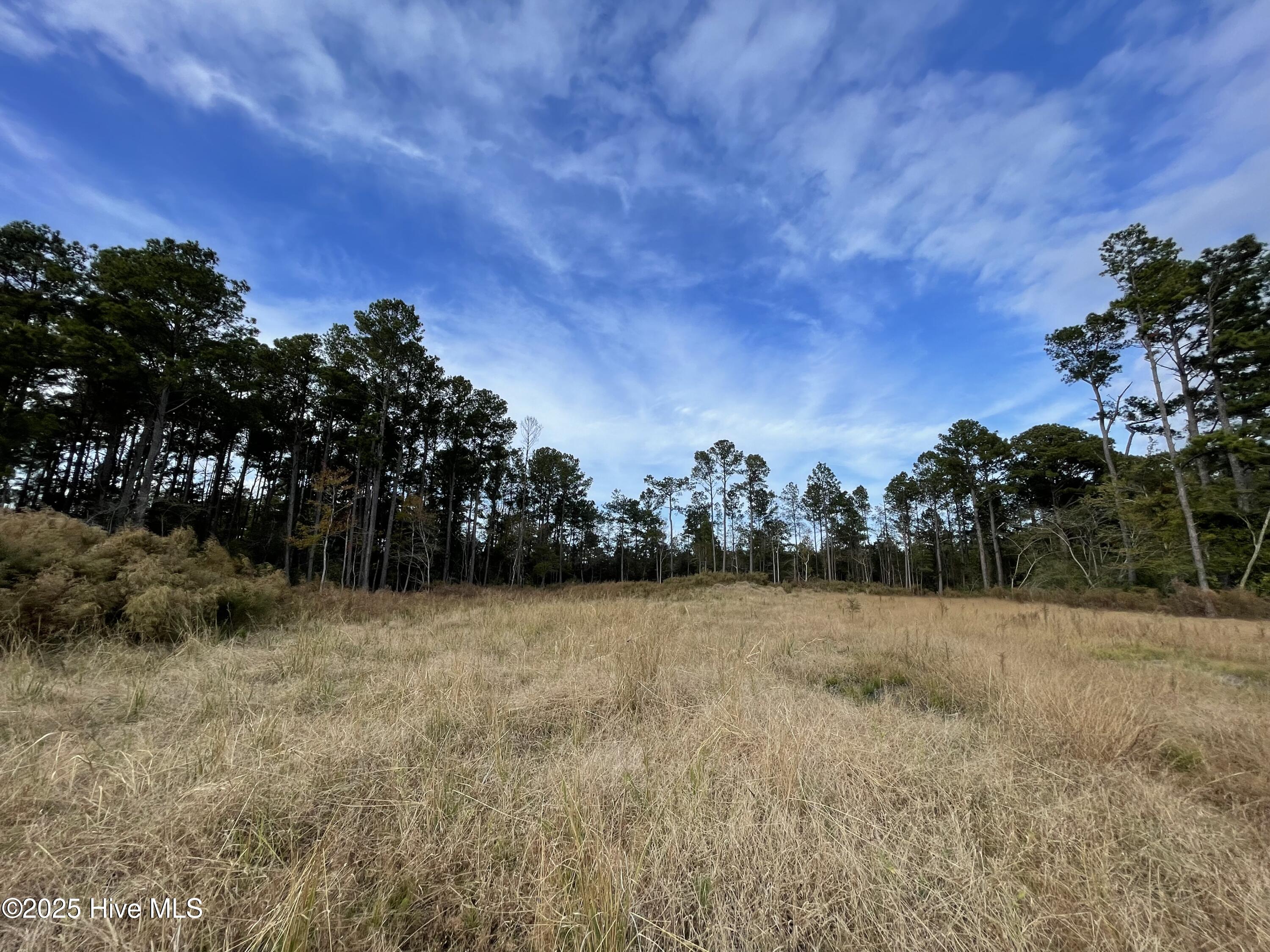 100496584 | Photo 13