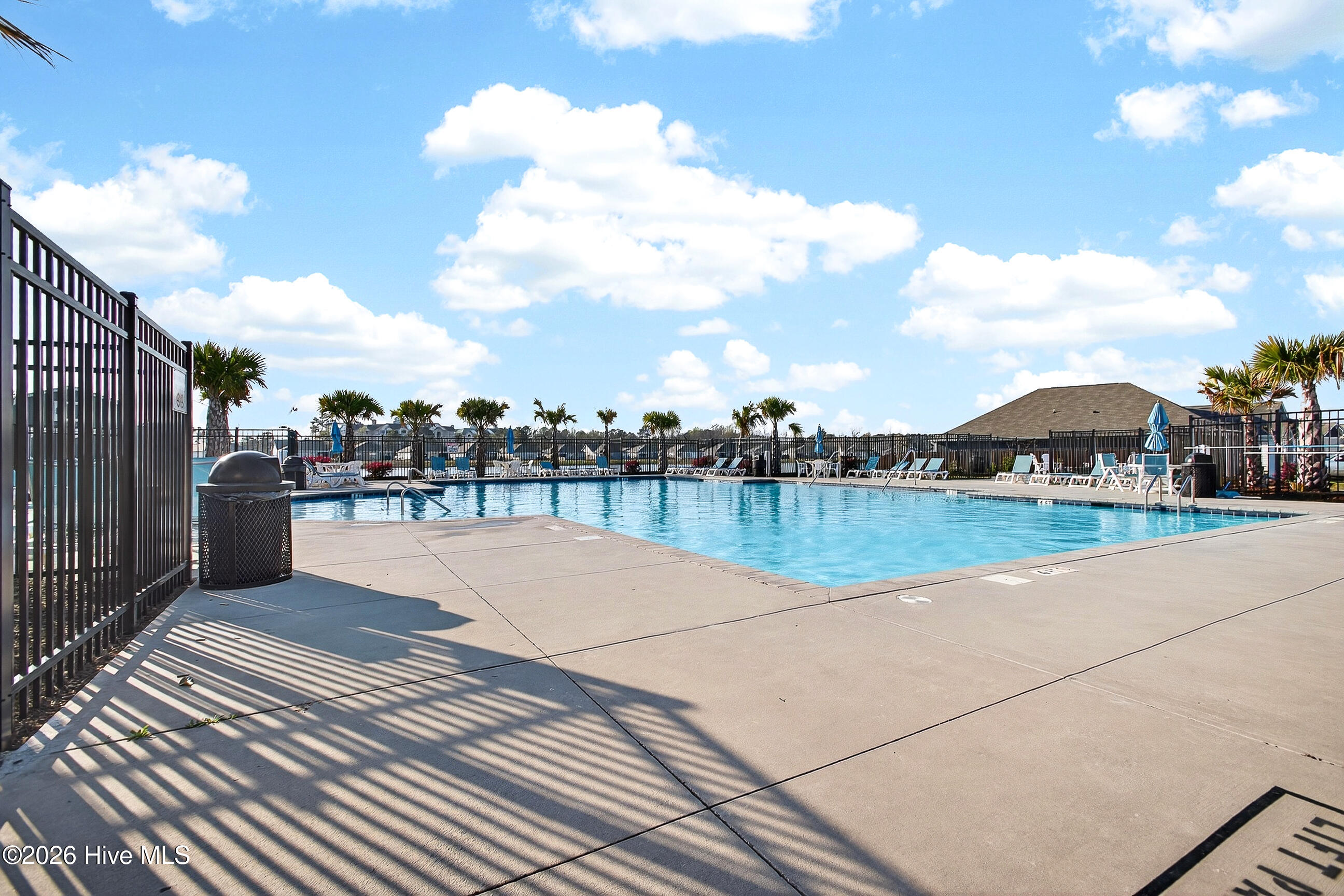 100562983 | Photo 41