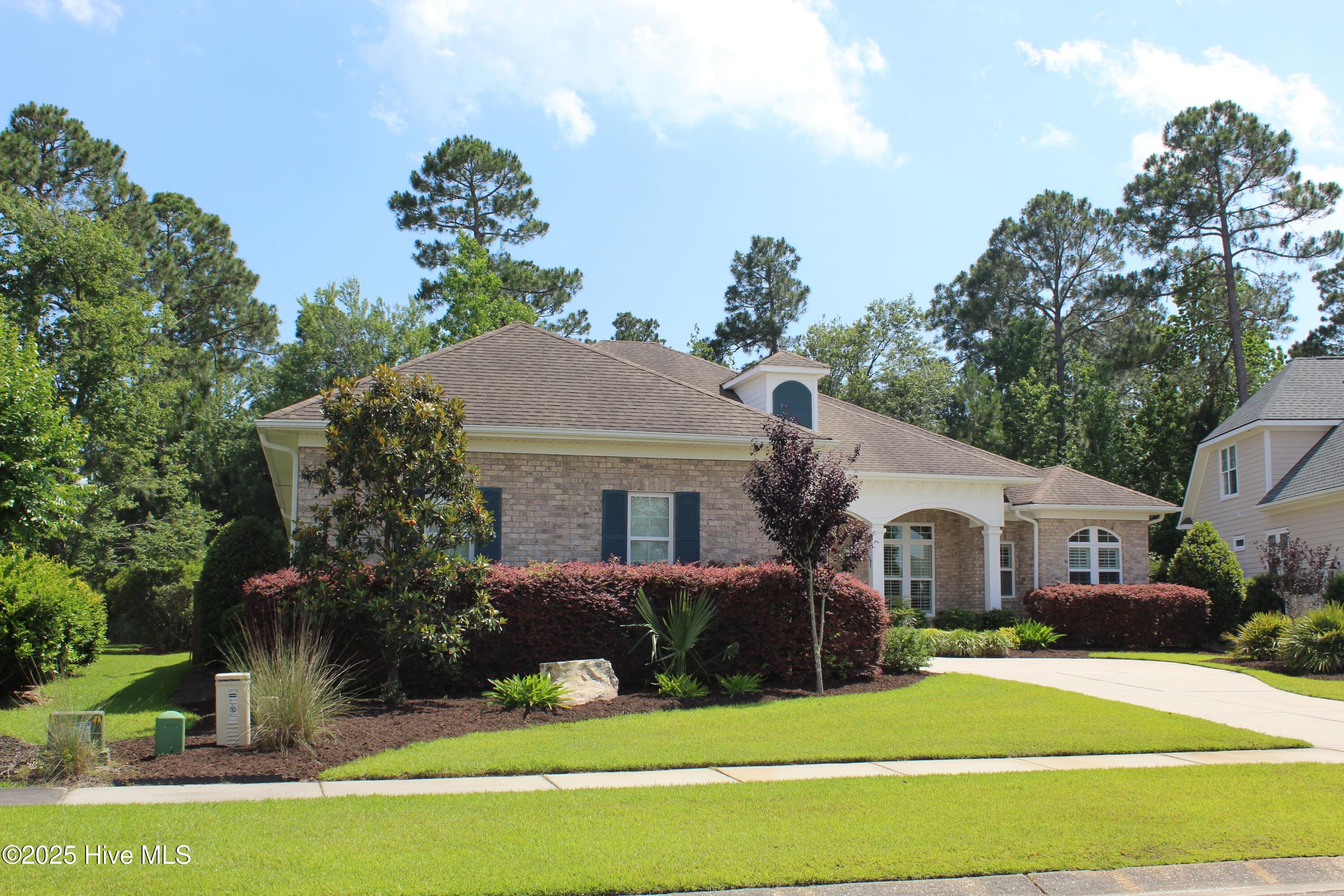 100481960 | Photo 13