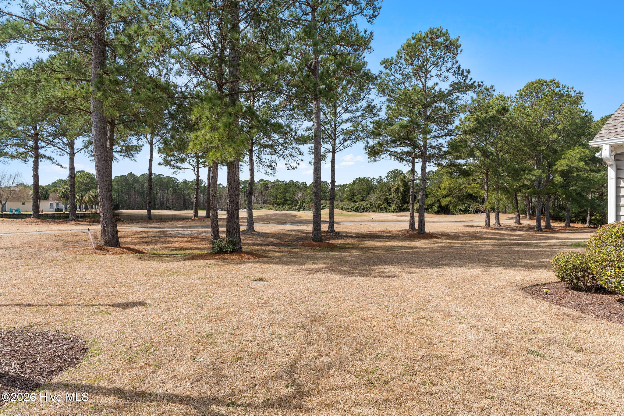 100558650 | Photo 28